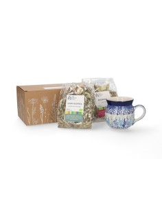 * Cadeaupakket Delphinium
