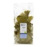 Ginkgo 20g bio